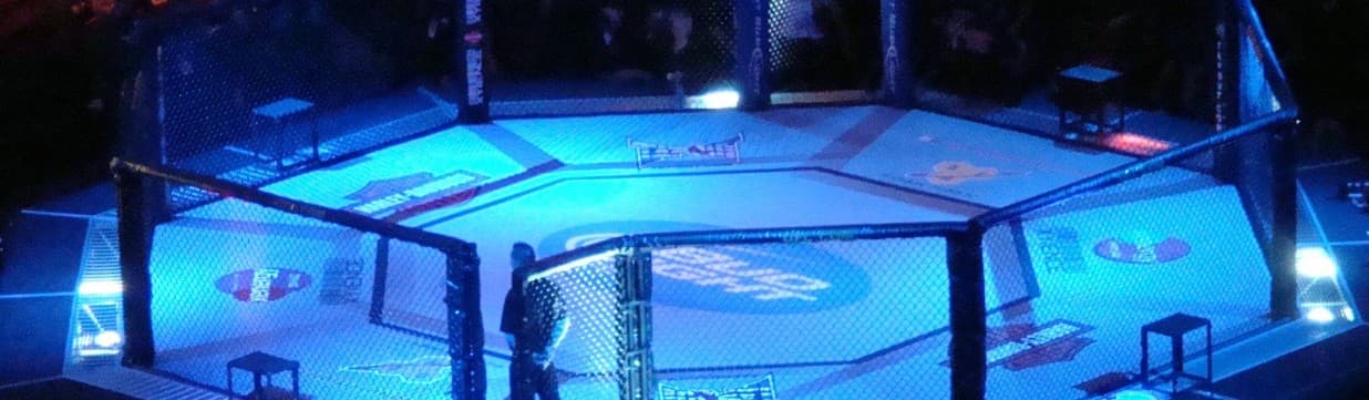 Exterior or interior of 3DRiggs MMA