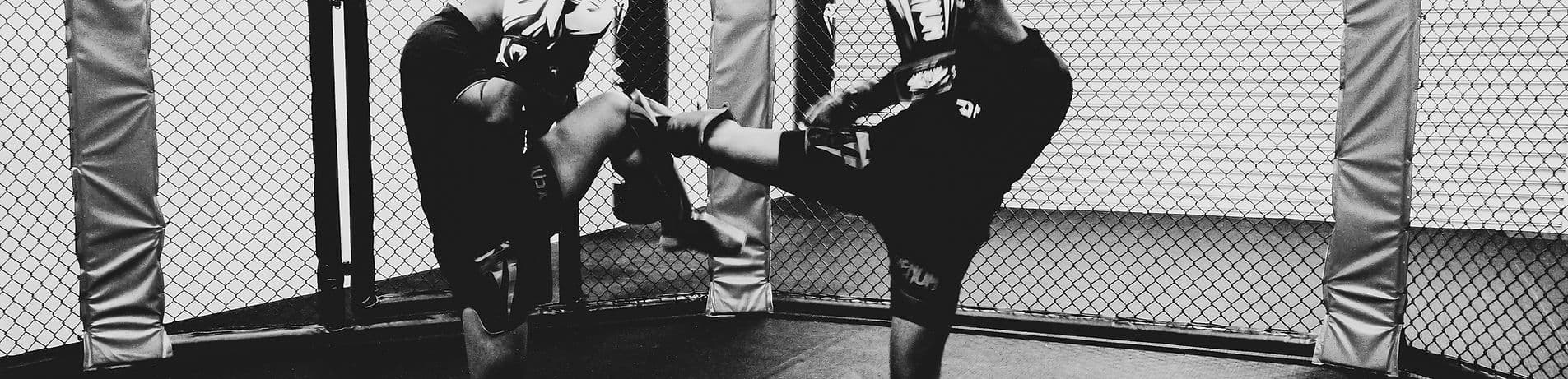Exterior or interior of Shogun Fight Gym