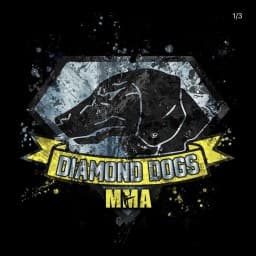 Exterior or interior of Diamond Dogs MMA