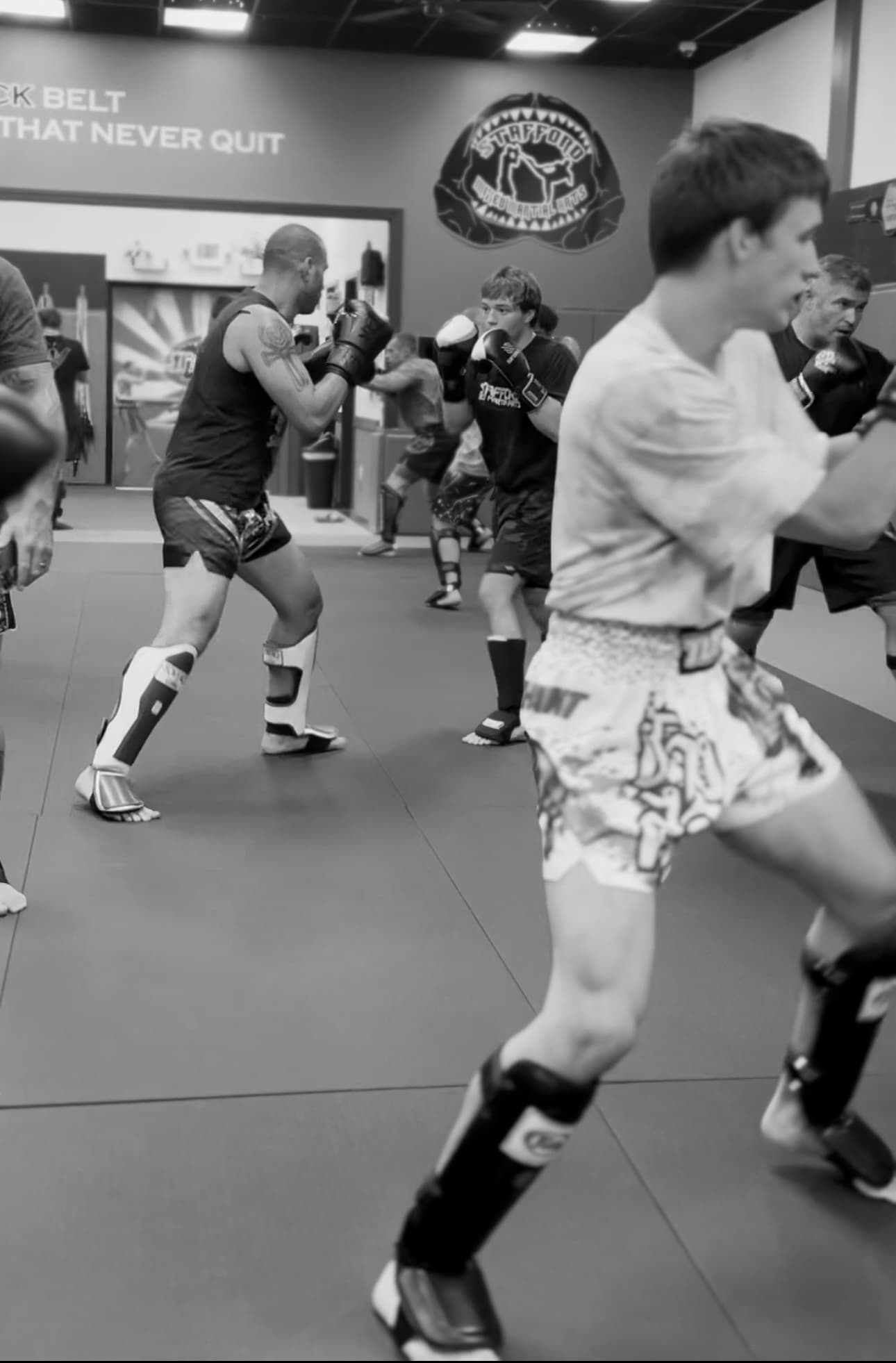 Exterior or interior of Stafford Mixed Martial Arts