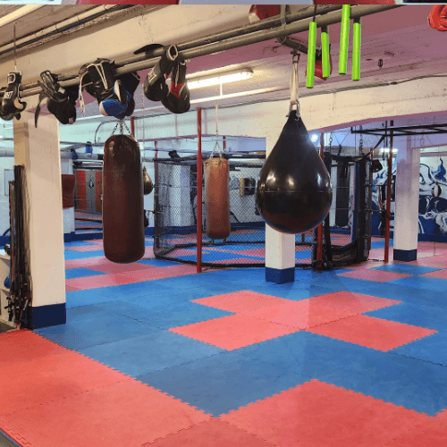 Exterior or interior of Cage Academy