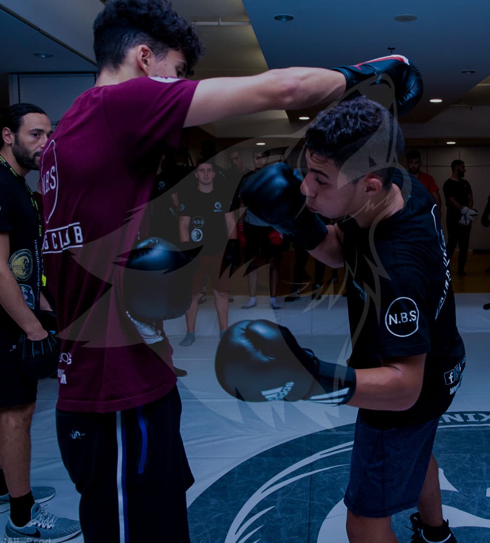 Exterior or interior of Nbs boxing
