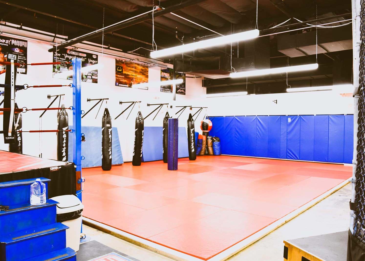 Exterior or interior of Apex Mixed Martial Arts