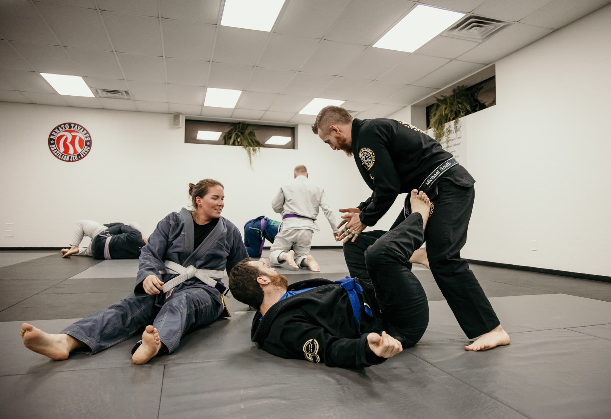 Exterior or interior of National Martial Arts