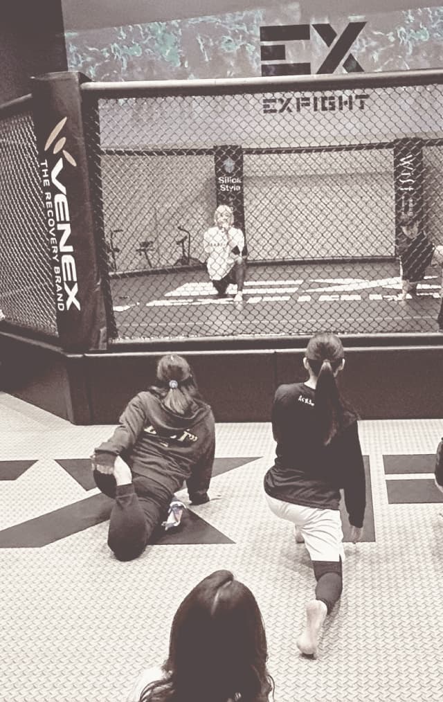 Exterior or interior of EXFIGHT