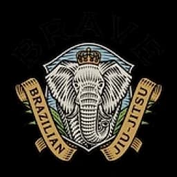 Brave Brazilian Jiu-jitsu logo