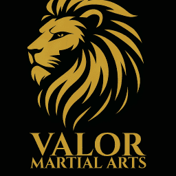 Valor Martial Arts logo