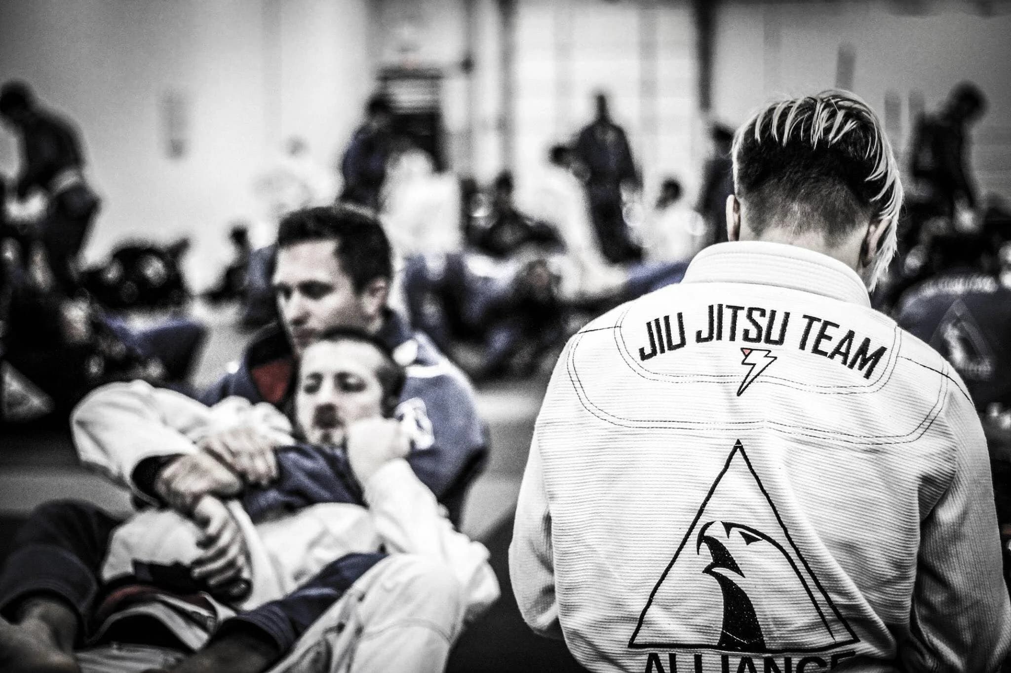 Exterior or interior of Evolution MMA Chicago - Schaumburg