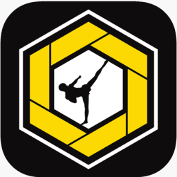 Headkicks Martial Arts & Fitness logo