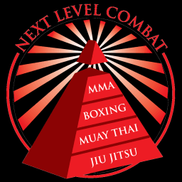 Next Level Combat logo