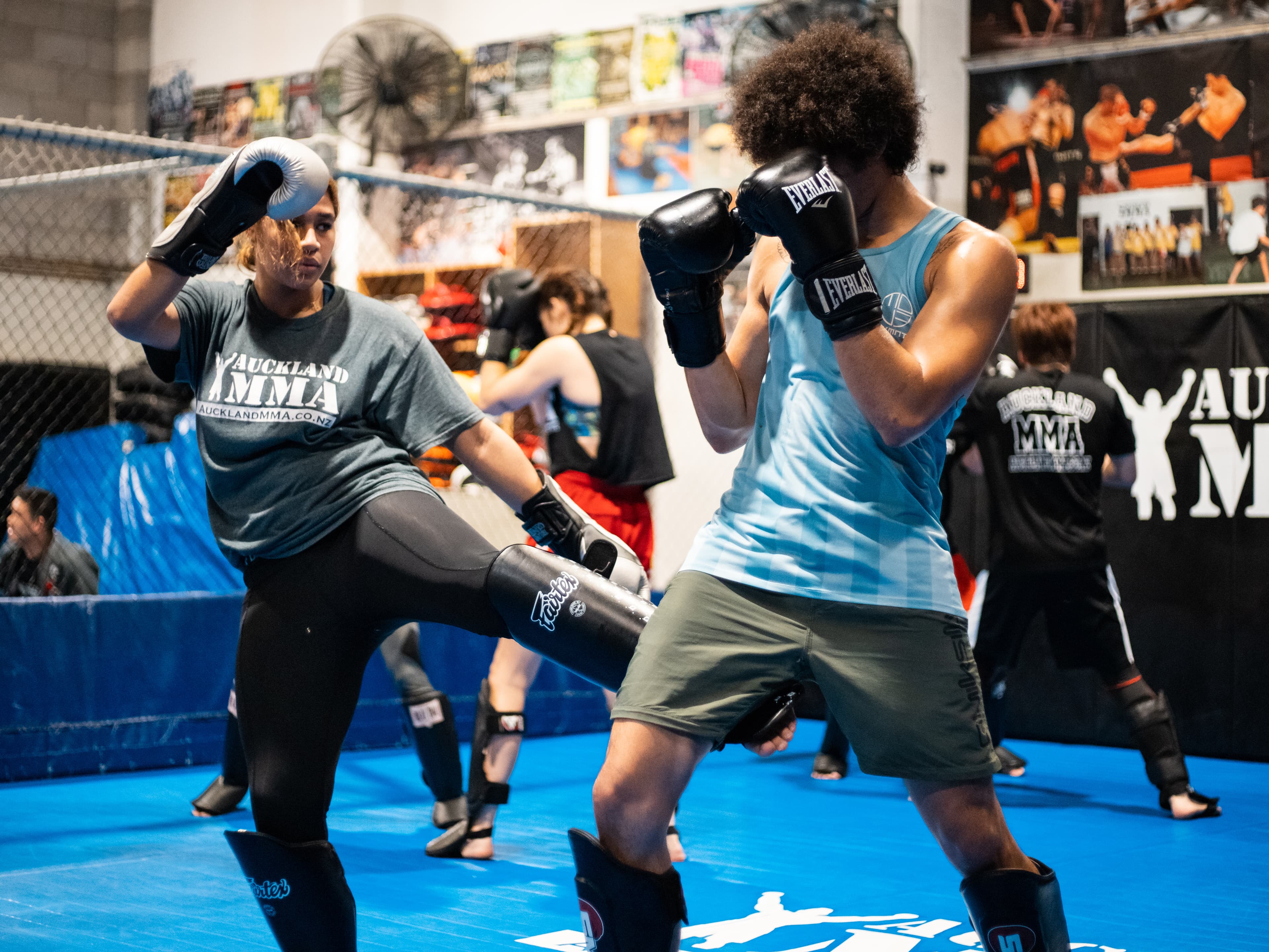 Exterior or interior of Auckland MMA