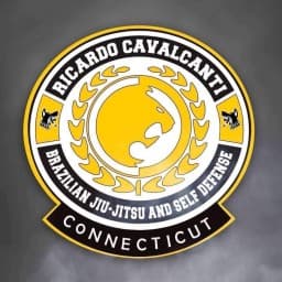 Performance Combat MMA logo