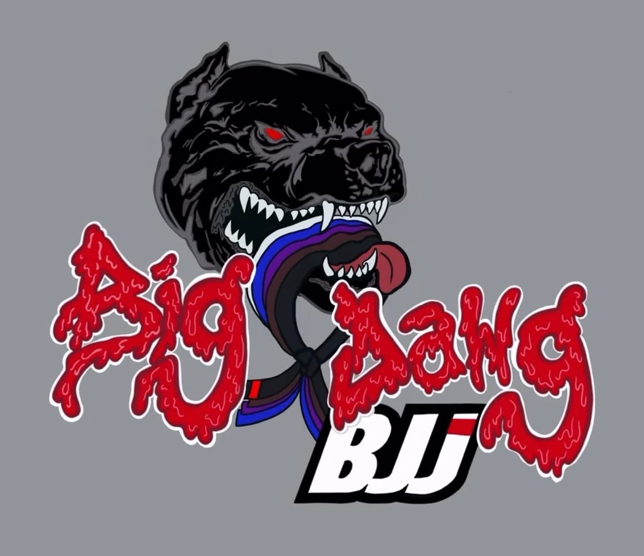 Exterior or interior of Big Dawg Brazilian Jiu-Jitsu & MMA