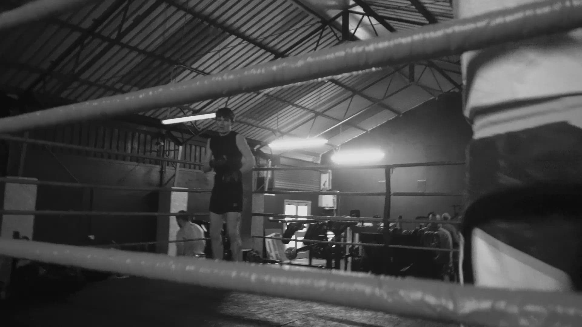 Exterior or interior of Downpatrick MMA