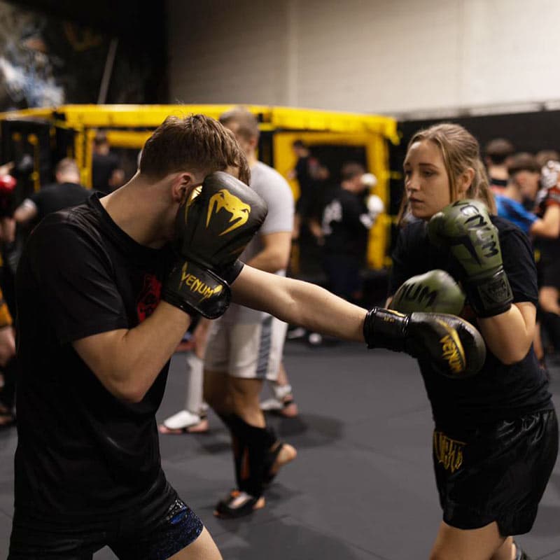 Exterior or interior of Immortal MMA