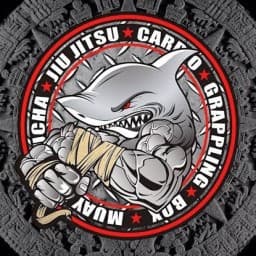 Malosos MMA logo