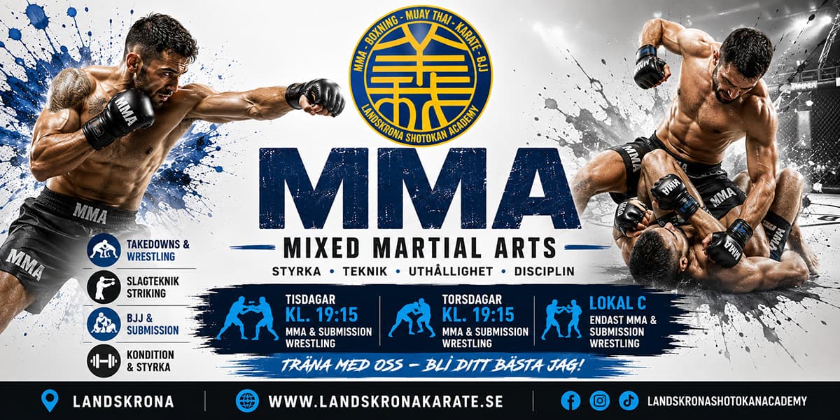 Exterior or interior of Mixed Martial Arts Landskrona