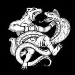 MMA CLUB MANGUST ХРИСТИНІВКА logo