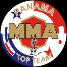 MMA PANAMÁ TOP TEAM GROUP logo