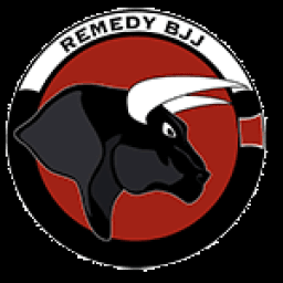 Exterior or interior of Team Remedy Brazilian Jiu jitsu, kickboxing, and MMA
