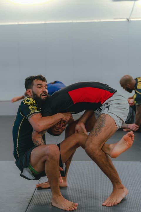 Exterior or interior of Tribe Jiujitsu Academy