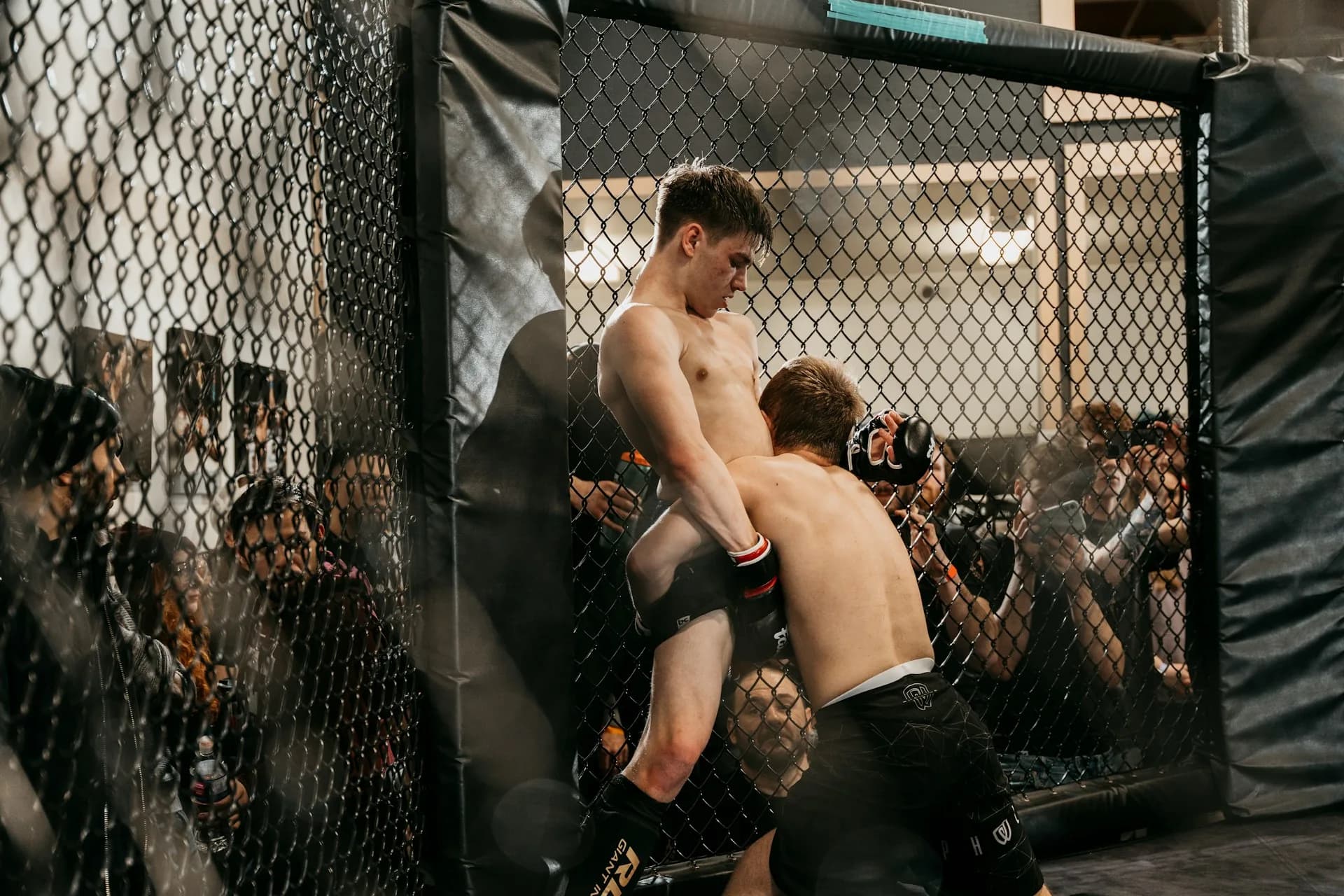 Exterior or interior of Vertex360 - MMA & Combat Club